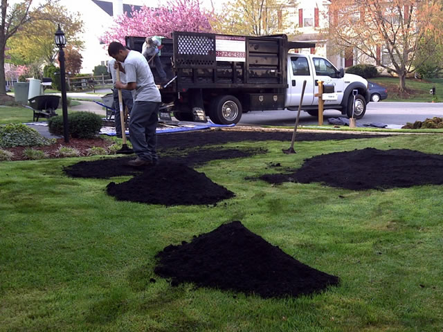 Your Landscape Partner Northern Virginia Residential Lawn Care