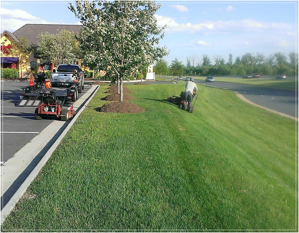 Your Landscape Partner  Northern Virginia Commercial Lawn Maintenance